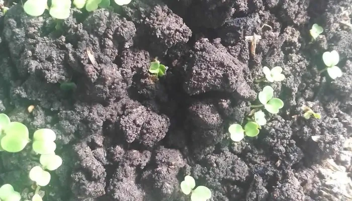 Tranqui Panchi -  Del Propietario - Lascano