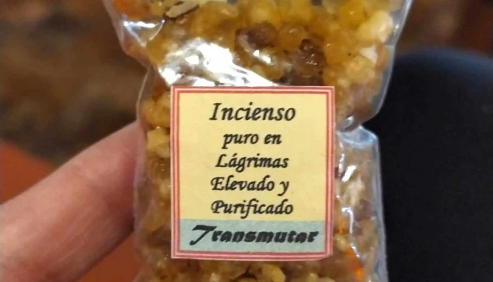 Transmutar - Montevideo