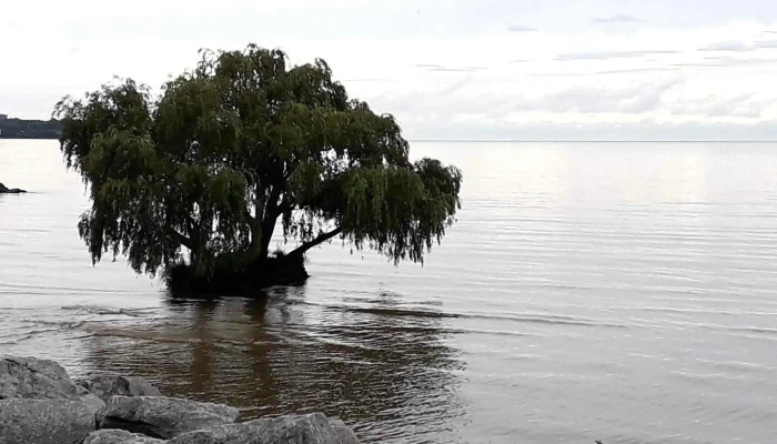 Tres Mil Huellas - 12900 Montevideo