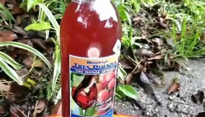 Tres Puentes - Juan A. Lavalleja