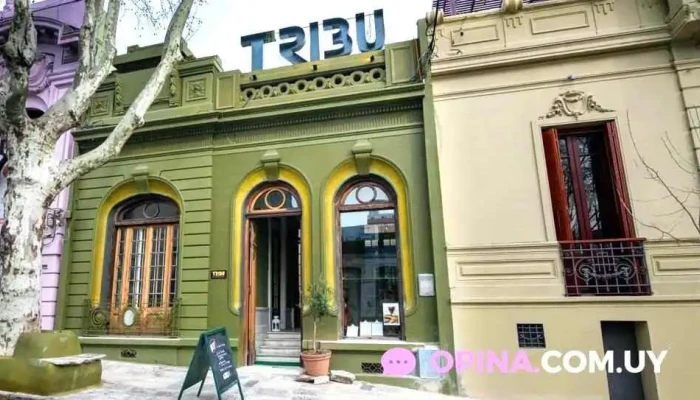 Tribu Espacio Cultural:  Todo - Centro cultural