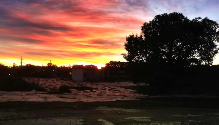 Trilky S.a. (Pilsen Rivera) - 40000 Rivera