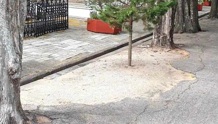 Trinidad -  Videos - Trinidad