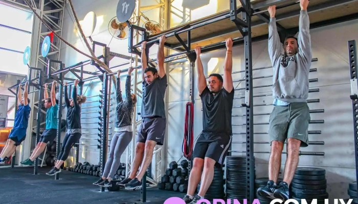 True Training Box Carrasco -  Gimnasio - Montevideo