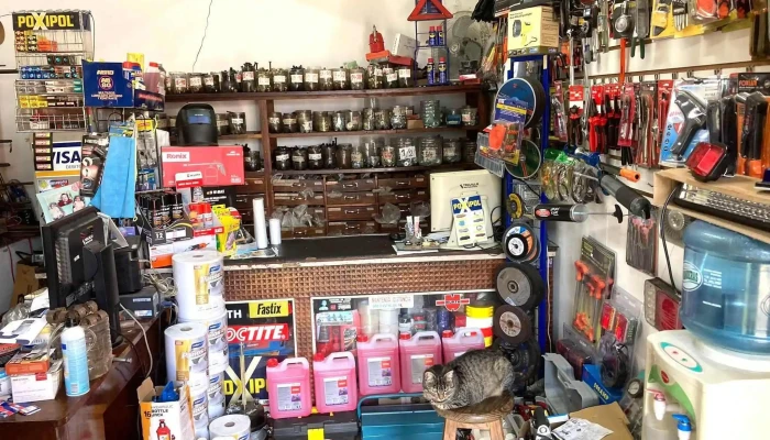 Trujillo Repuestos - 75000 Mercedes