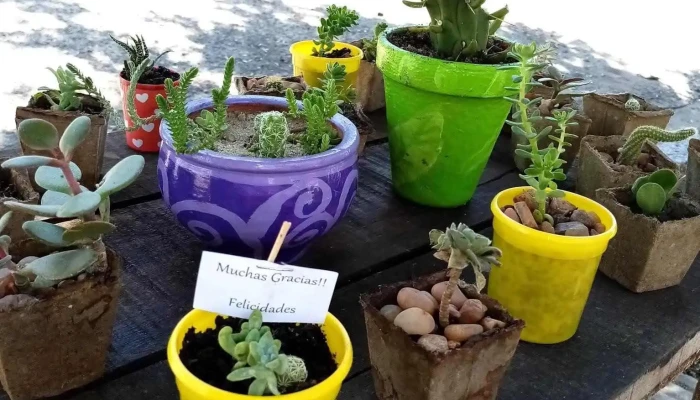 Tunas Ala Del Propietario - Cardona