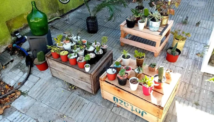 Tunas Ala Interior - Cardona