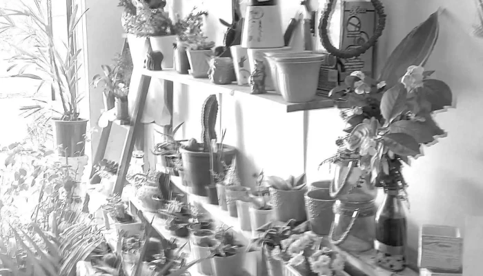 Tunitas - Ideas Originales - 33000 Treinta Y Tres