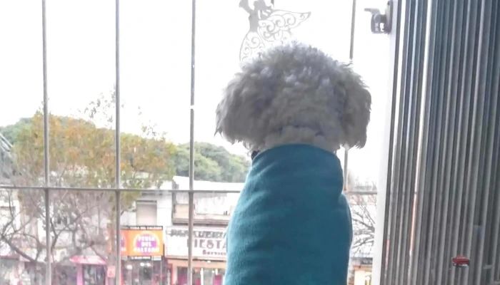 Ucovi -  Donde - Montevideo