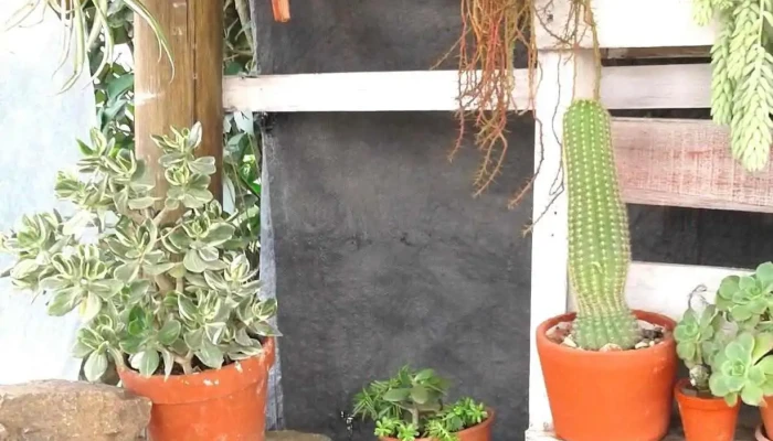 Unidad de Semilla - Maltería Uruguay - 70800 Ombúes De Lavalle