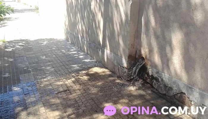 Universidad Catolica Del Uruguay Videos - Montevideo