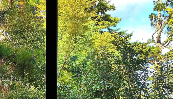 Uruhaus -  Puntaje - Punta del Este