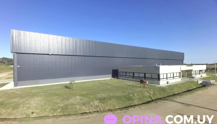 Urupaper Sa Precios - Barros Blancos