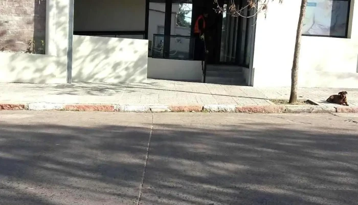 Ute Oficina Comercial treinta y tres.. - Avelino Miranda