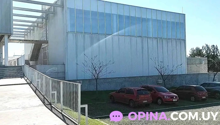 Utec -  Videos - Rivera