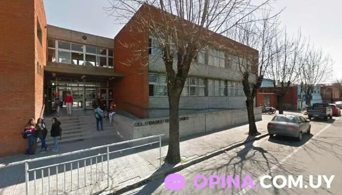 Utu Florida - Florida