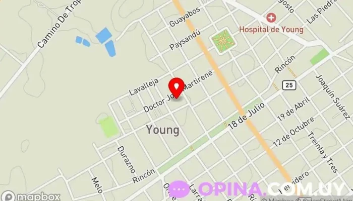 mapa de UTU Young Educación en Young