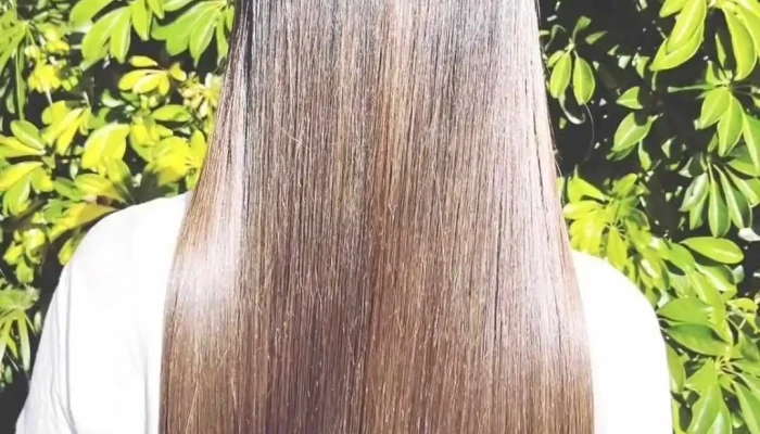 Vaz Studio - 15200 Canelones