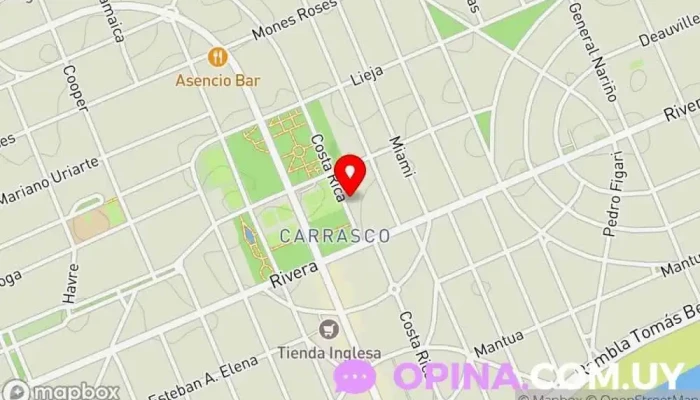 mapa de VEIREN Inmobiliaria Agencia inmobiliaria en Montevideo