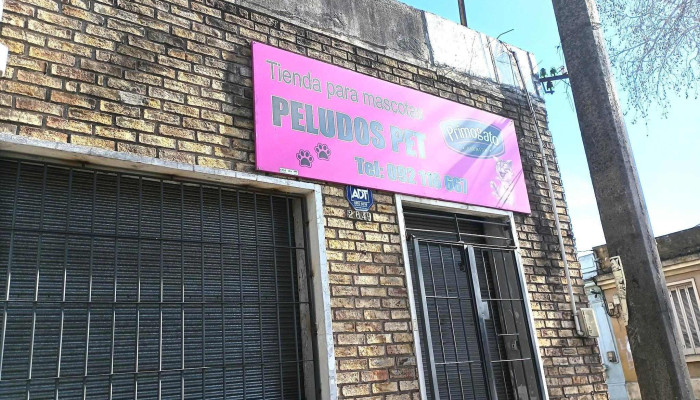 Veterinaria - 12000 Montevideo