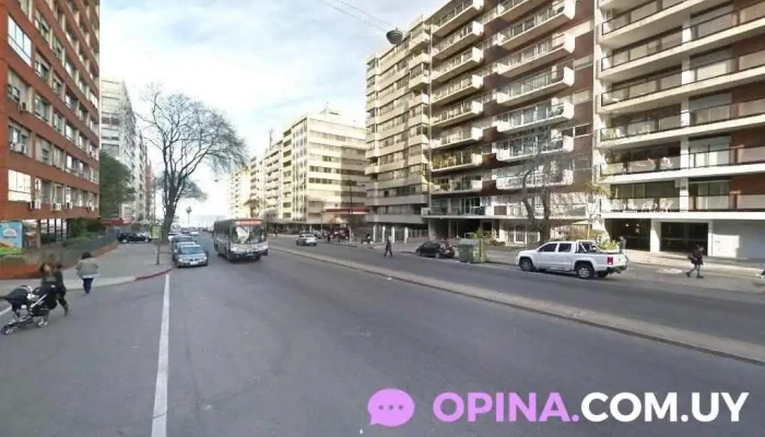 Veterinaria Alem - 11300 Montevideo