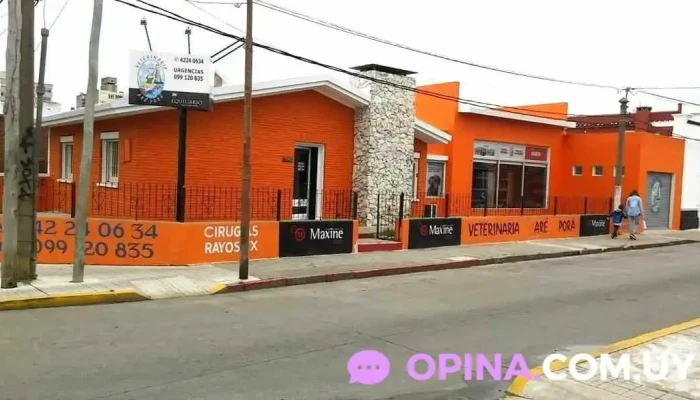 Veterinaria Are Pora - 20000 Maldonado