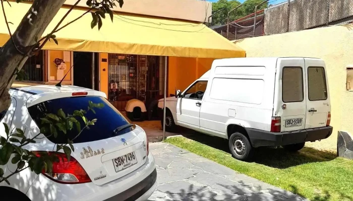 Veterinaria Avisena - 11400 Montevideo