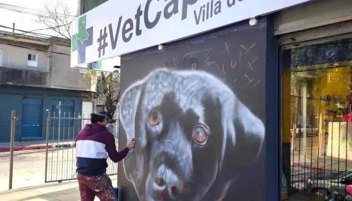 Veterinaria Capurro (Villa del Cerro) - 12800 Montevideo