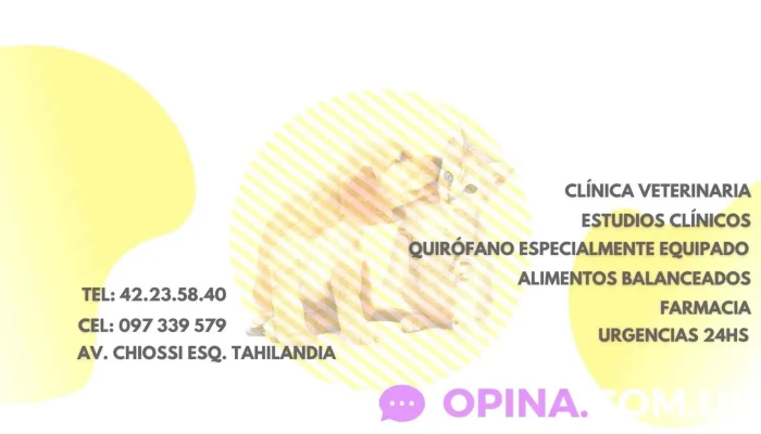 Veterinaria Care - Del Valle Esquina