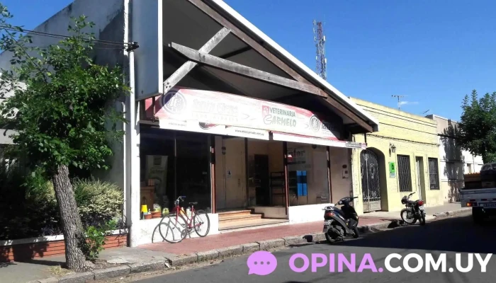 Veterinaria carmelo - 70100 Carmelo