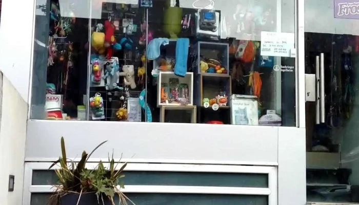 Veterinaria Castroman - 11300 Montevideo