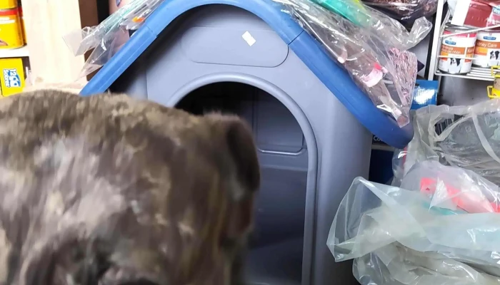 Veterinaria Coky - 11700 Montevideo