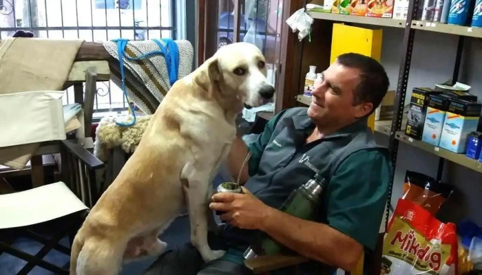 Veterinaria, Dr. Carlos Corujo - 20300 Pan De Azúcar