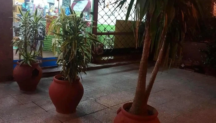 Veterinaria El Boyero - 11300 Montevideo