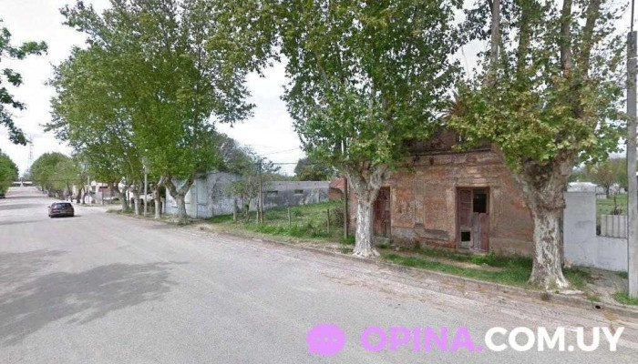 Veterinaria El Boyero - 97000 Villa Del Carmen