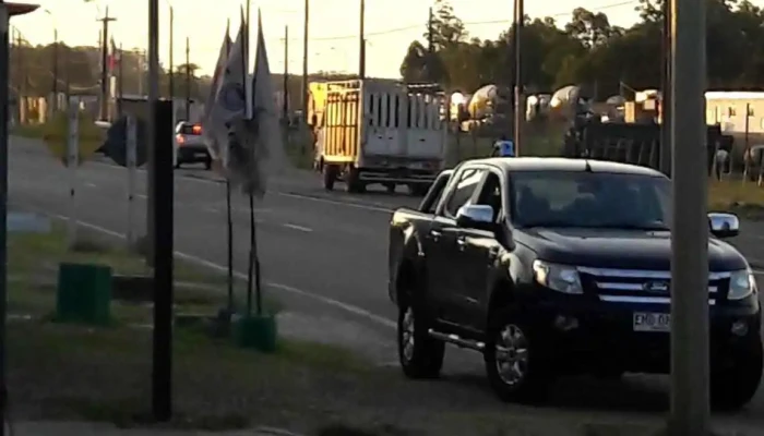 Veterinaria El Establo - Gral. Leandro Gómez