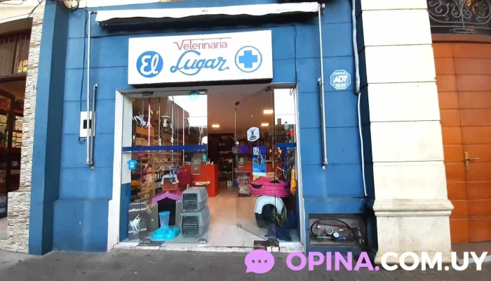 Veterinaria El Lugar - 97000 Durazno