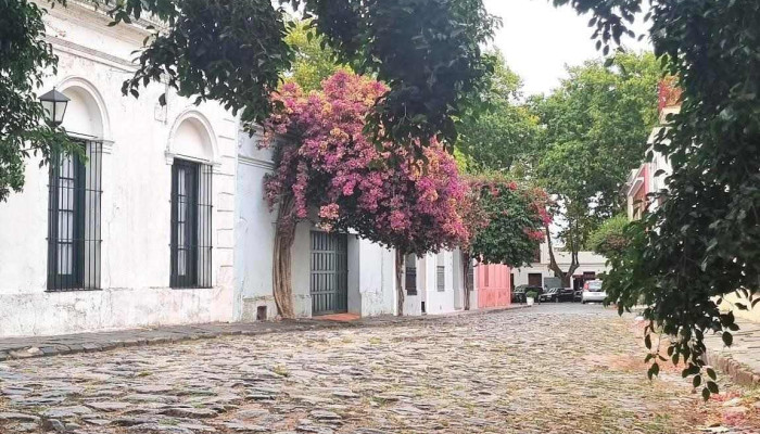 Veterinaria El Rutero - 70000 Col. Del Sacramento