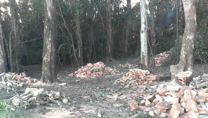 Veterinaria El Timbó - 75000 Mercedes