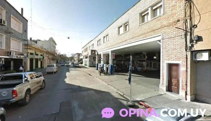 Veterinaria Hugo Arriesta - 50000 Salto