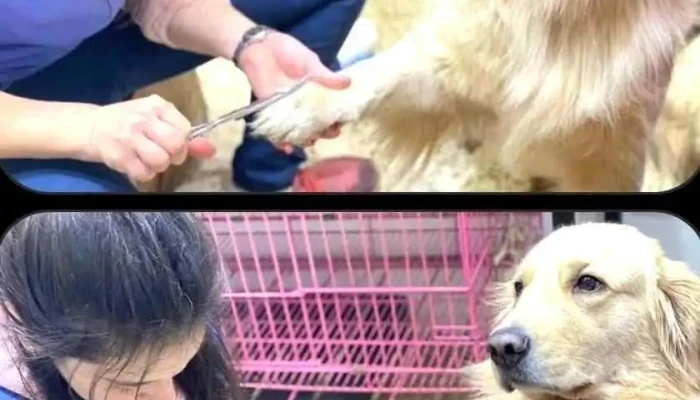 Veterinaria Kamunda - 11300 Montevideo