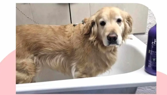 Veterinaria La Comercial - 11200 Montevideo