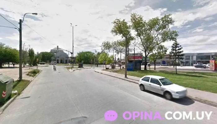 veterinaria la cruz de carrasco - 11400 Montevideo