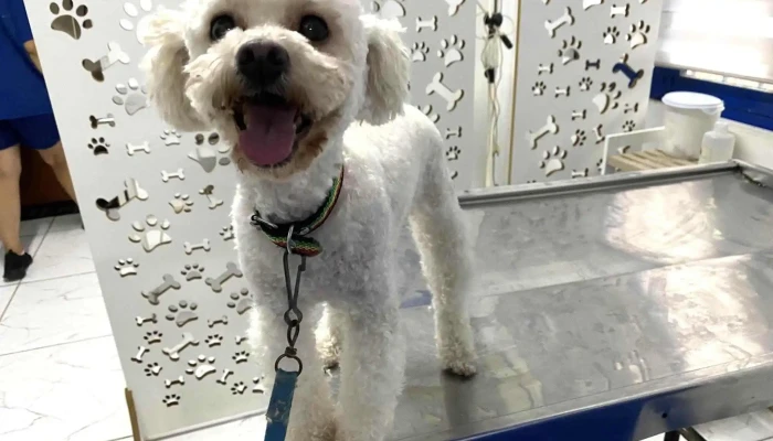 Veterinaria La Cucha - 12000 Montevideo