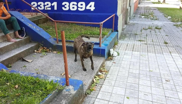 Veterinaria La Estación - C. Juan Mac Coll