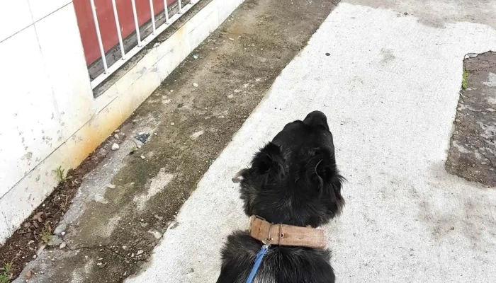 Veterinaria La Hacienda - 11600 Montevideo