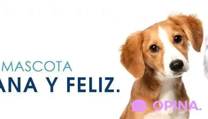 Veterinaria La Jungla - 11200 Montevideo