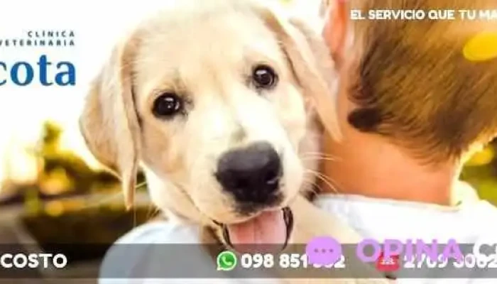 Veterinaria La Mascota - 11300 Montevideo