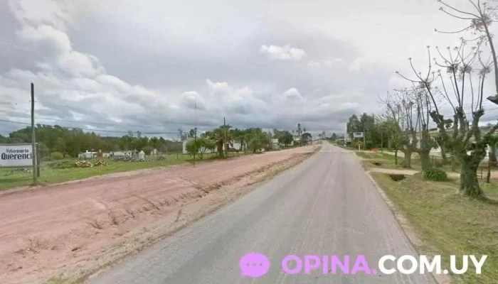 Veterinaria La Querencia - 96500 Alejandro Gallinal