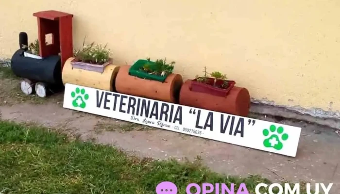 Veterinaria La Vía - 60100 Guichón